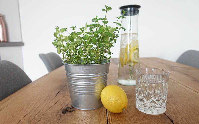 Plastikfrei Leben ohne Plastik Tipps
