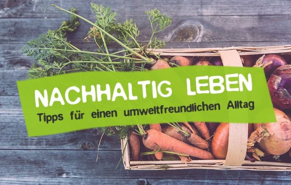 Nachhaltig leben - 50 Tipps für einen grünen Alltag • CareElite