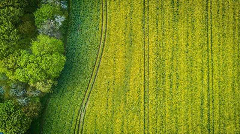 Bodenerosion - Was tun gegen den Bodenabtrag?