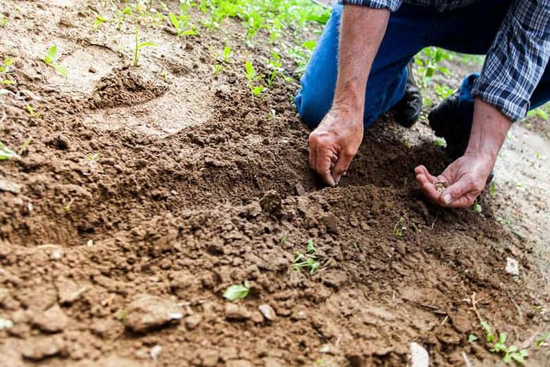 Consequences of the environmental problem of soil erosion