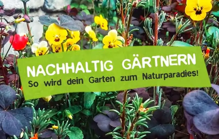 Nachhaltig gärtnern und Naturgarten gestalten