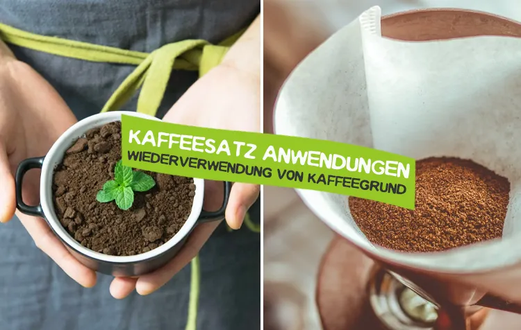 Kaffeesatz Anwendungen: 15 Tipps & Ideen • CareElite