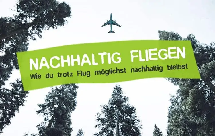 How to fly as sustainable as possible