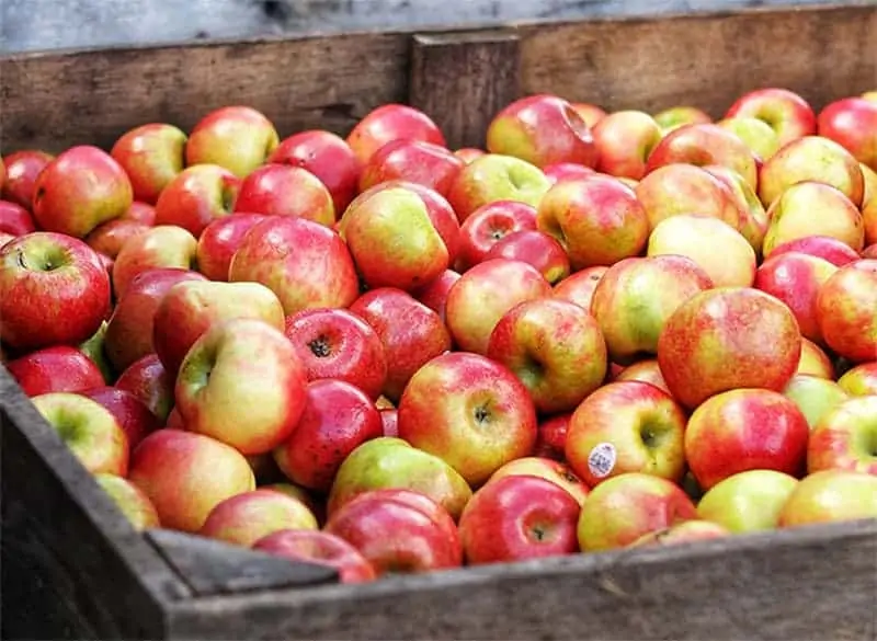 Äpfel saisonal einkaufen