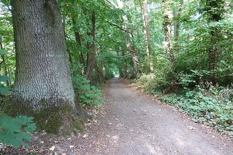 Wandern um den Schermützelsee Tipps