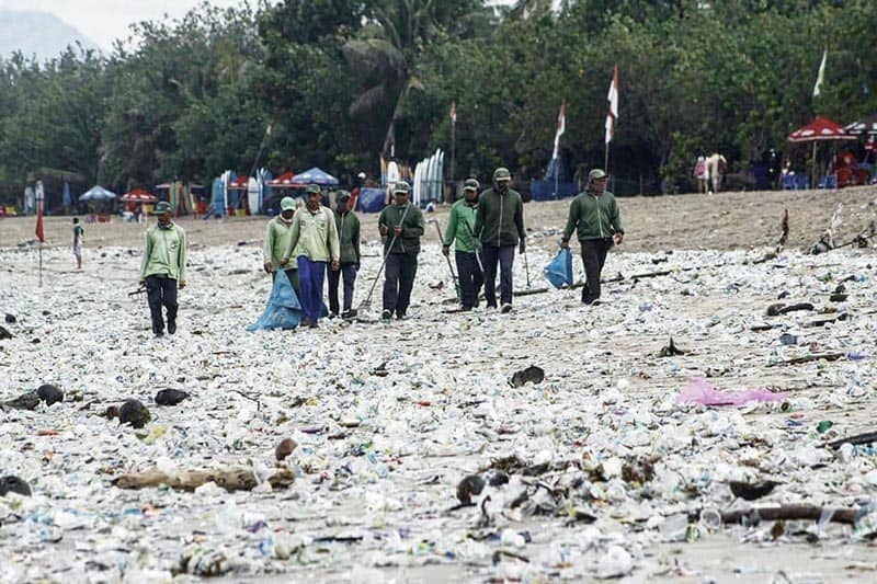 Facts about plastic waste in nature