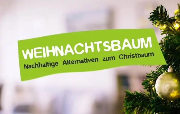 Sustainable Christmas tree and disposal