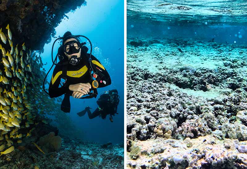 Coral bleaching - consequences for humans and nature