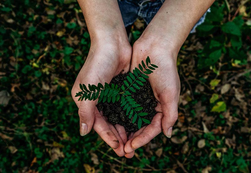 Live sustainably and stop coral dieback