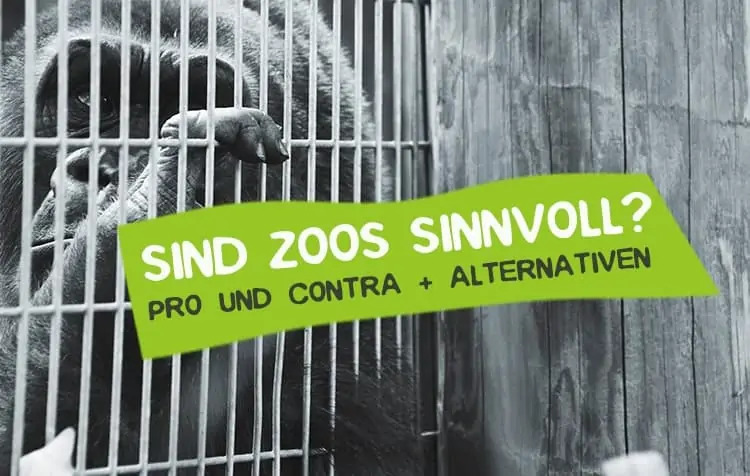 Zoos - appropriate to the species and contemporary