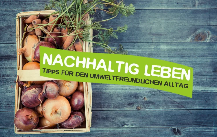 Nachhaltig leben – Die besten Tipps für den Alltag