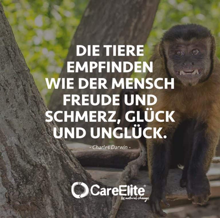 Charles Darwin Zitate 26 inspirierende Sprüche CareElite
