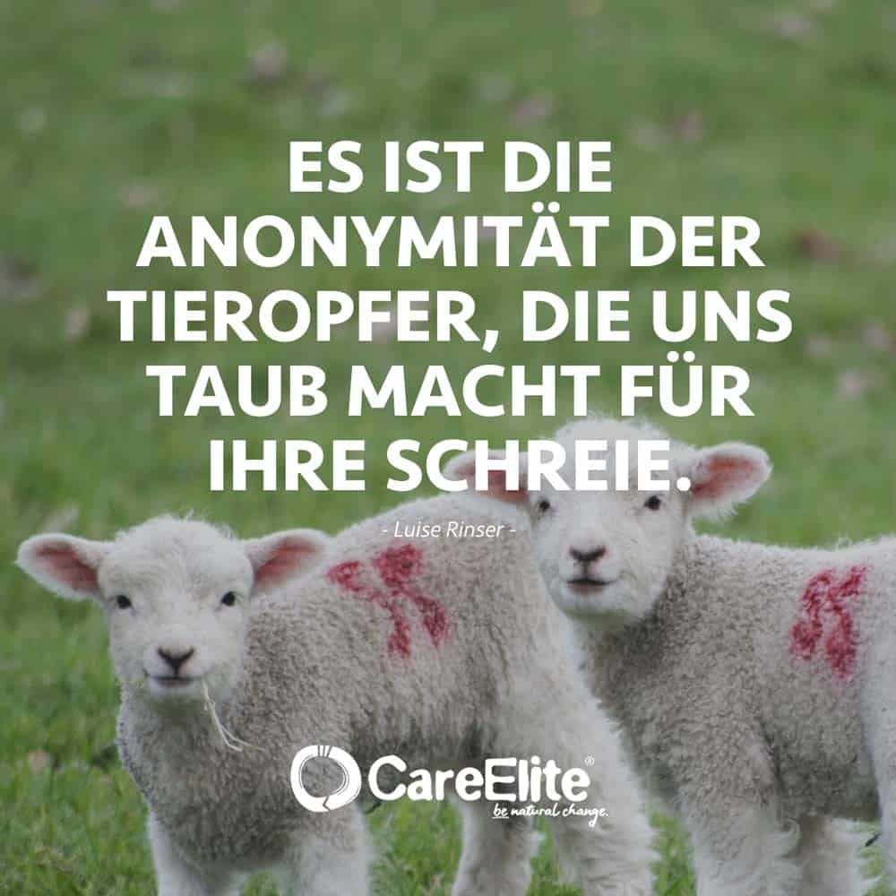 Veganer Zitate Taub Schreie