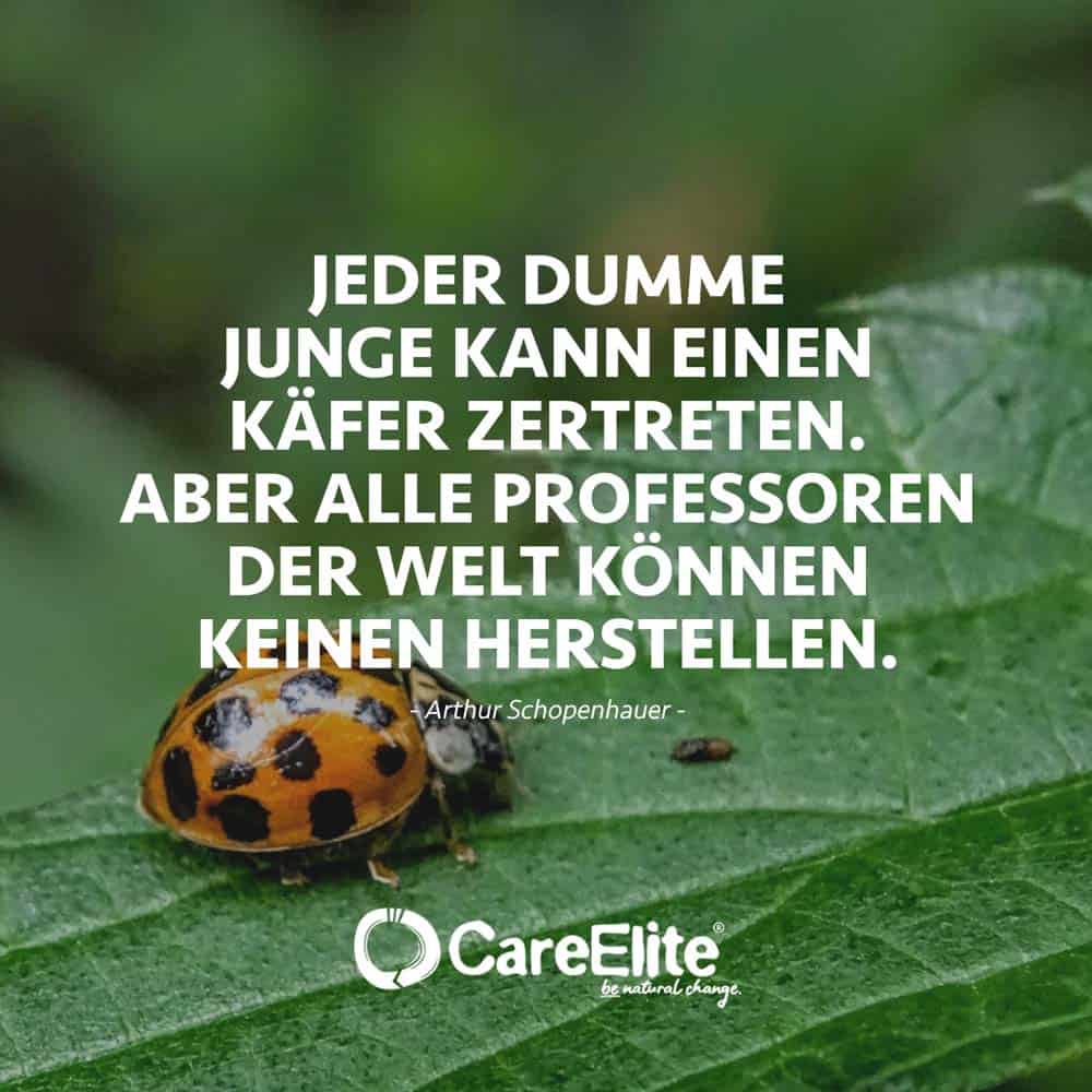 "Jeder dumme Junge kann einen Käfer zertreten. Aber alle Professoren der Welt können keinen herstellen." (Arthur Schopenhauer)