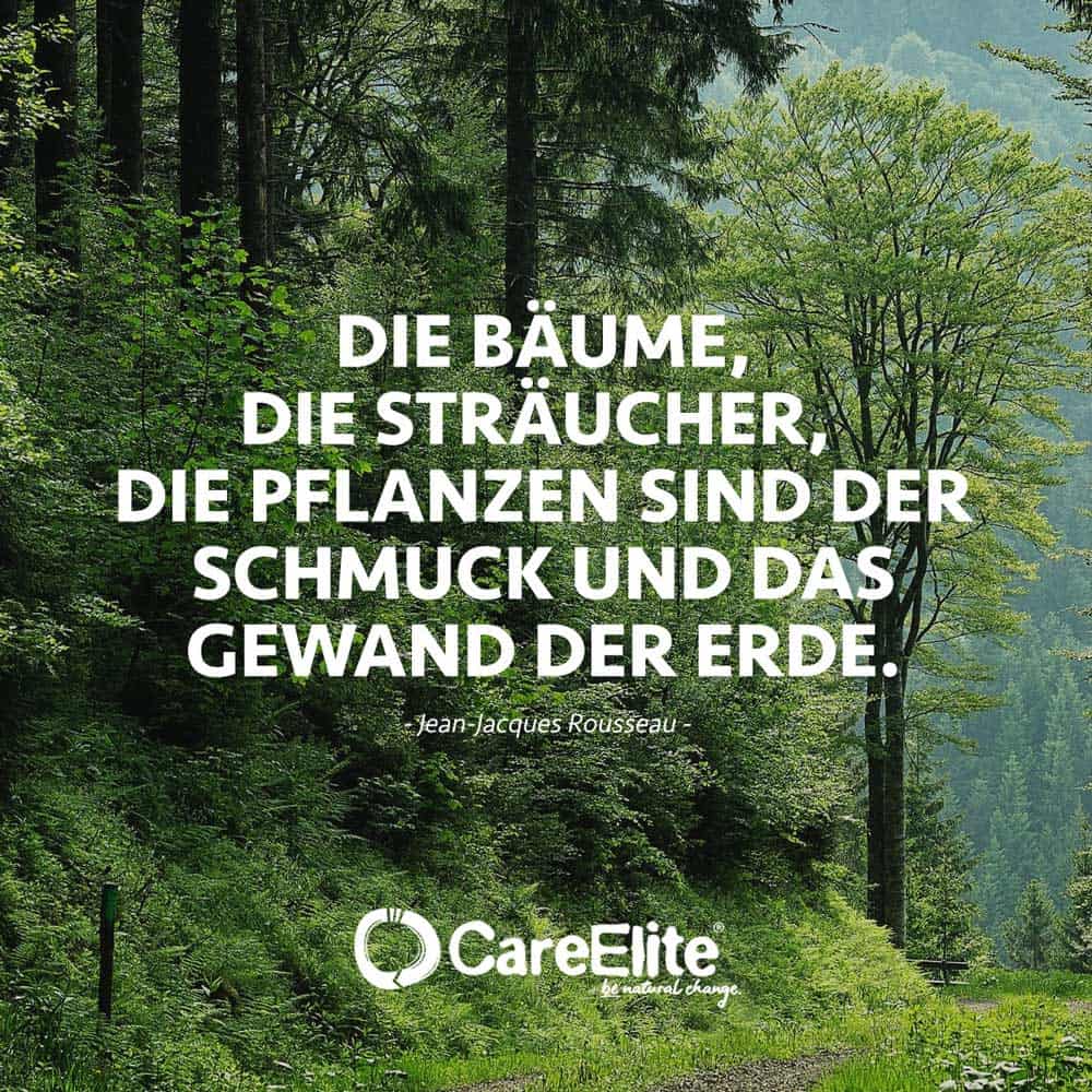 Bäume und Wald Zitate für Waldschutz