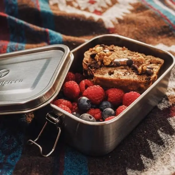 Buy sustainable stainless steel lunch box online