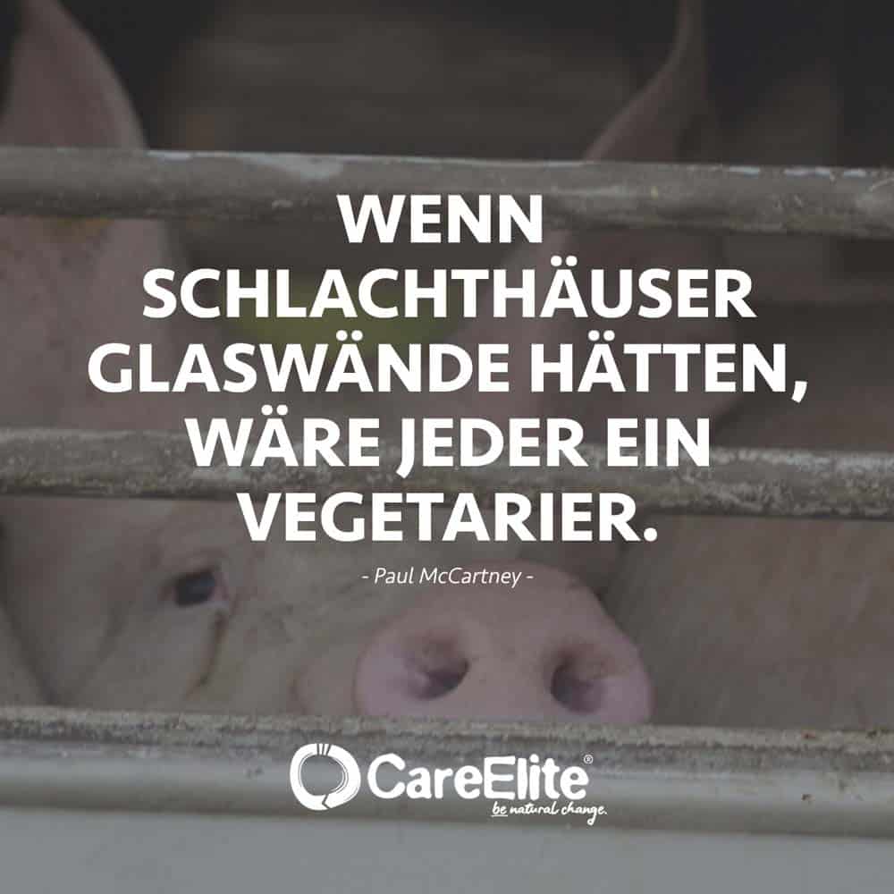 "If slaughterhouses had glass walls, everyone would be a vegetarian."(Quote by Paul McCartney)