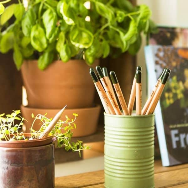 Nachhaltige Bleistifte zum Einpflanzen