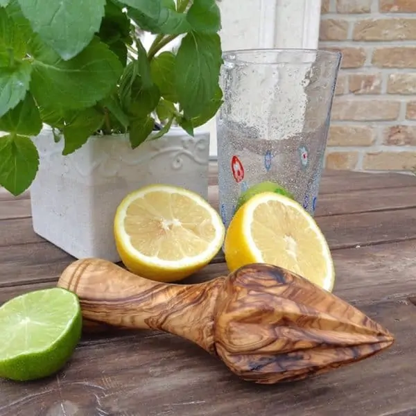 Olive wood citrus juicer