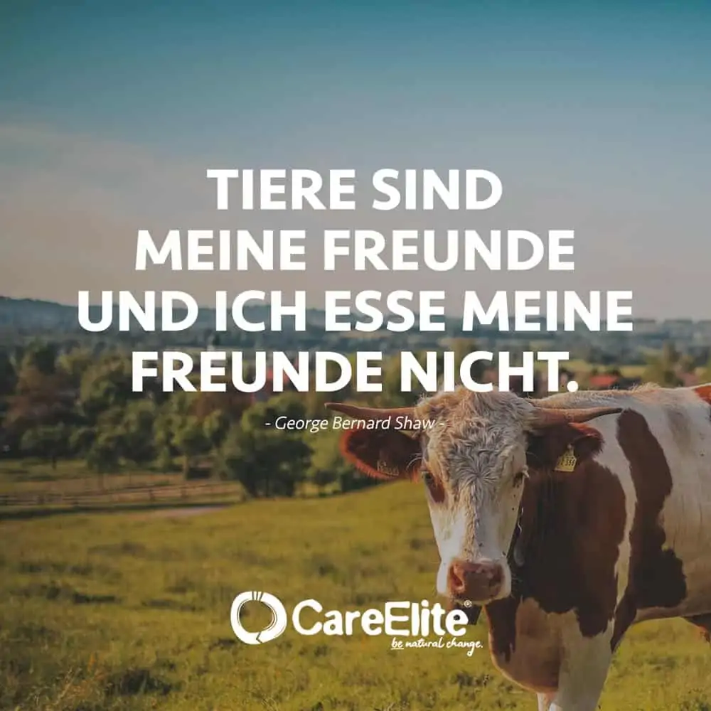"Animals are my friends and I don't eat my friends." (Quote by George Bernard Shaw)