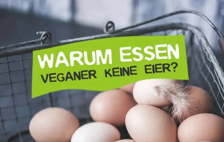 Warum Veganer keine Eier essen