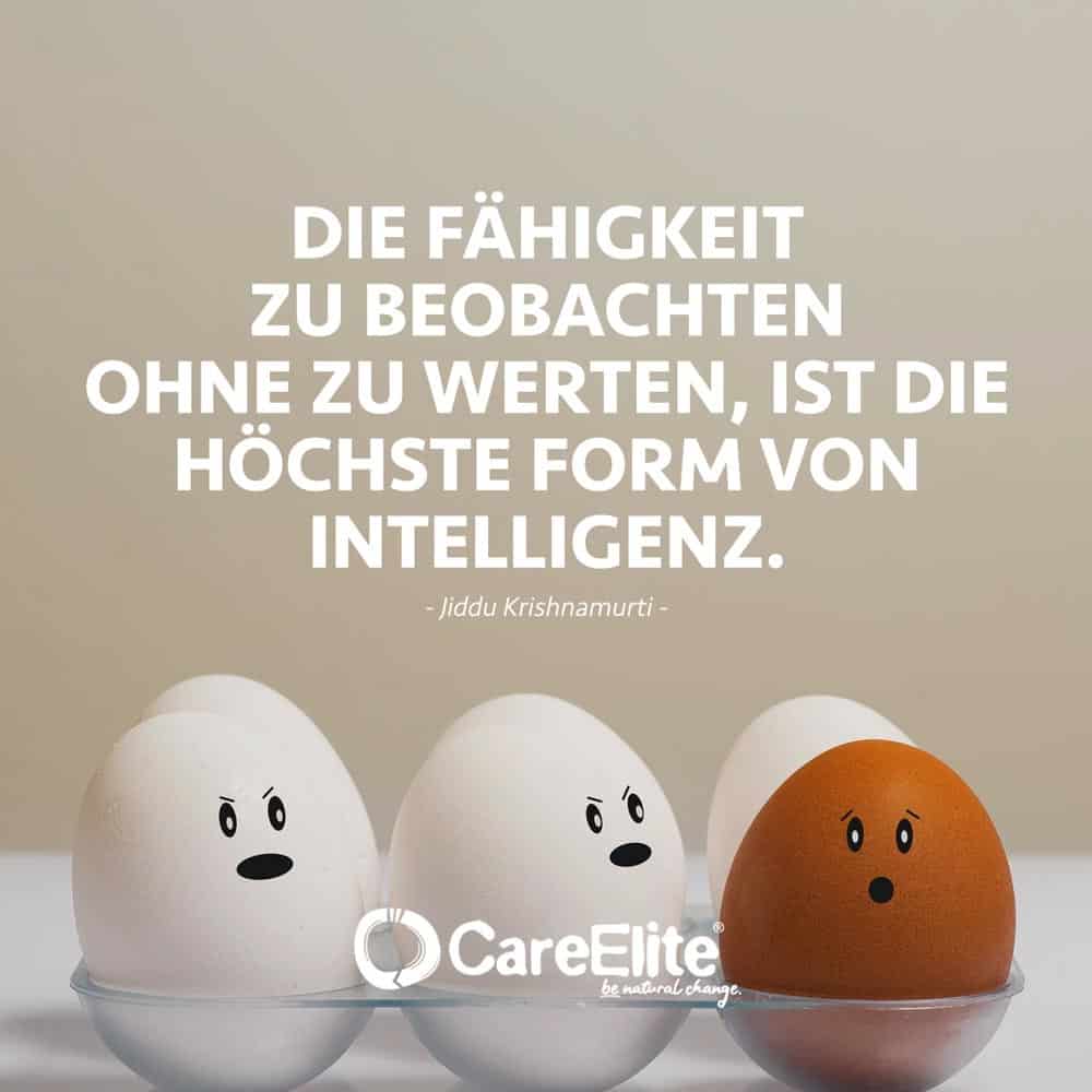 Menschlichkeit Zitate und Sprüche Intelligenz