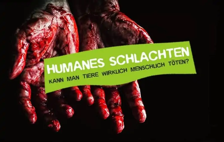 Humane slaughter of animals