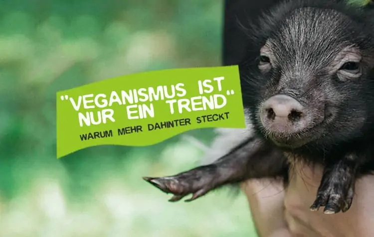 Vegan nur ein Trend - ist er bald wieder vorbei?