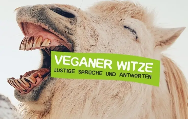 Vegetarian and vegan jokes