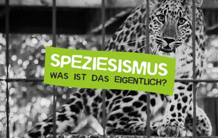 Speciesism - What is it?