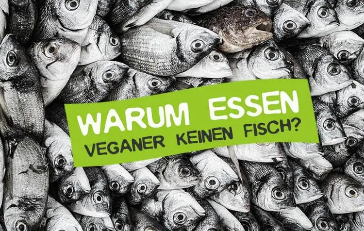 Why vegans don't eat fish