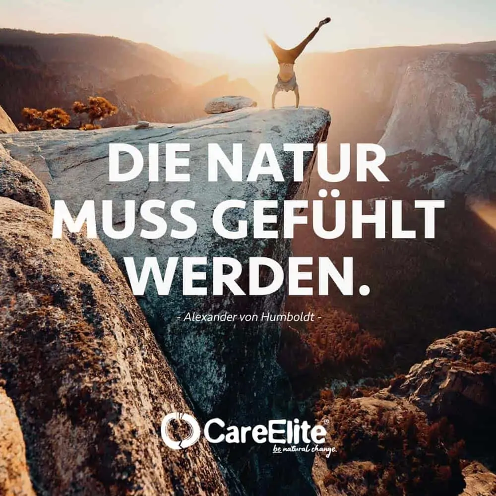 Nature must be experienced through feeling. (Quote from Alexander von Humboldt)