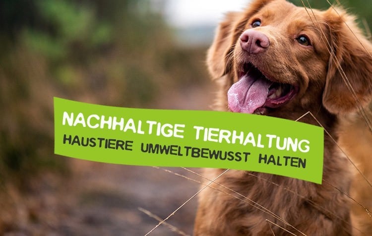 Tiere nachhaltig halten Tipps