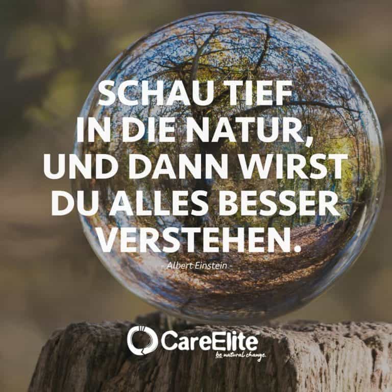 Natur Zitate 50 Sprüche über unsere Umwelt • CareElite