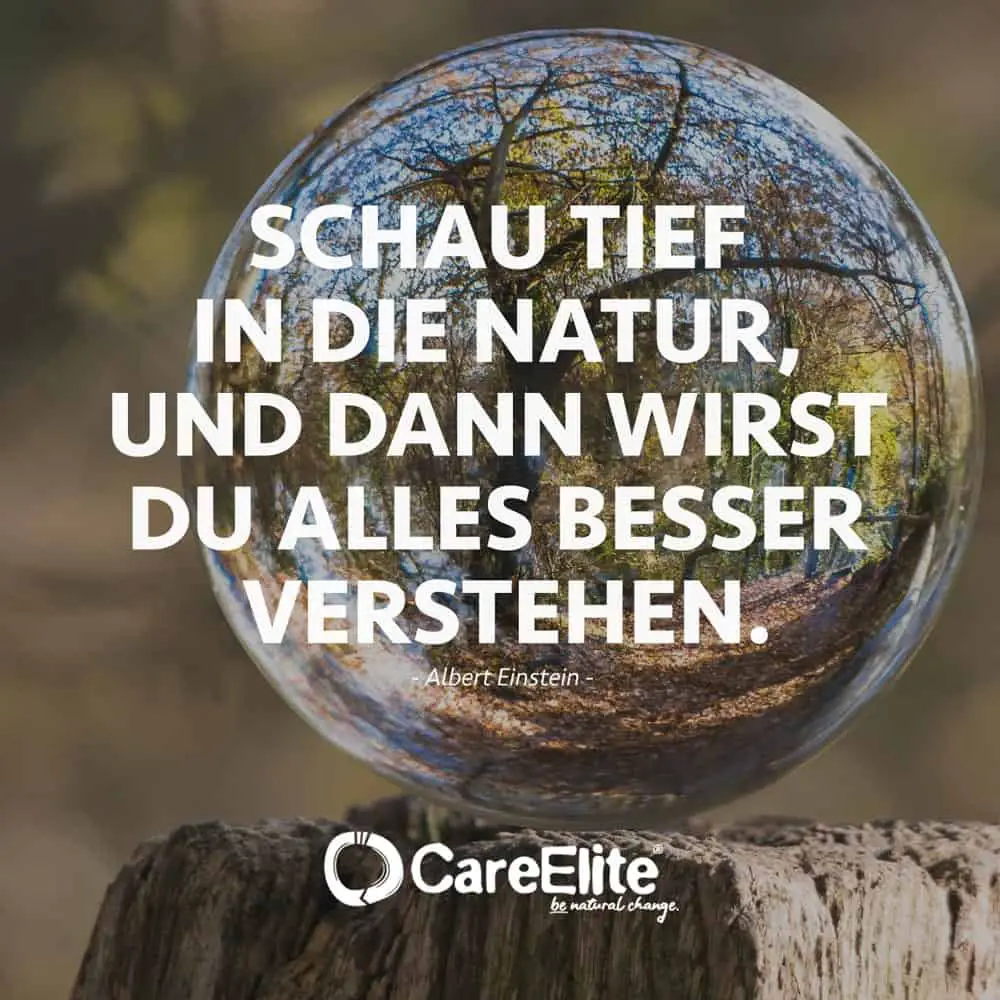 Albert Einstein quote about nature