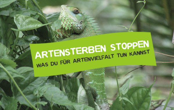 Artensterben stoppen Was kann ich dagegen tun? • CareElite
