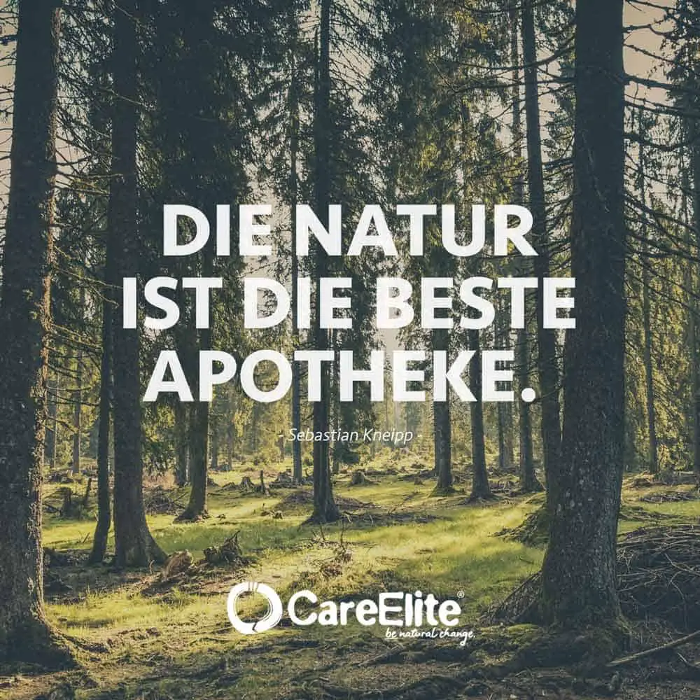 Nature is the best pharmacy quote Kneipp