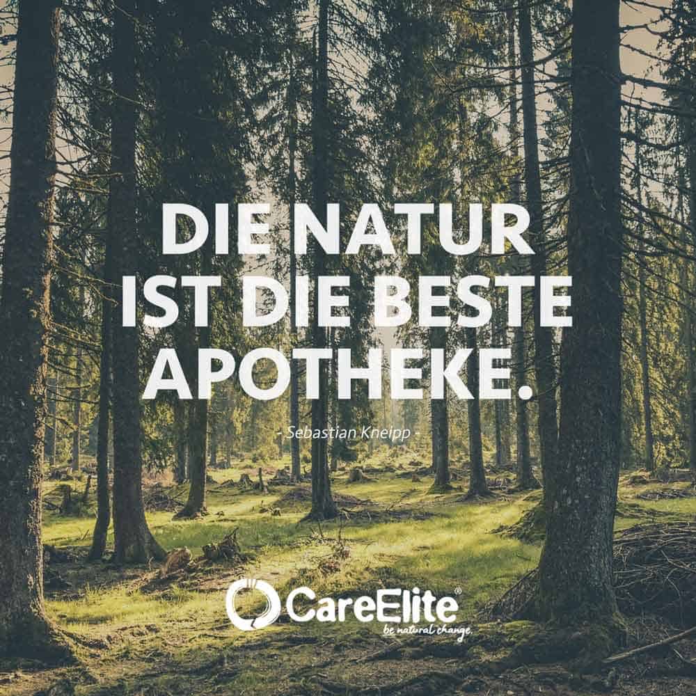 Die Natur ist die beste Apotheke. (Zitat von Sebastian Kneipp)