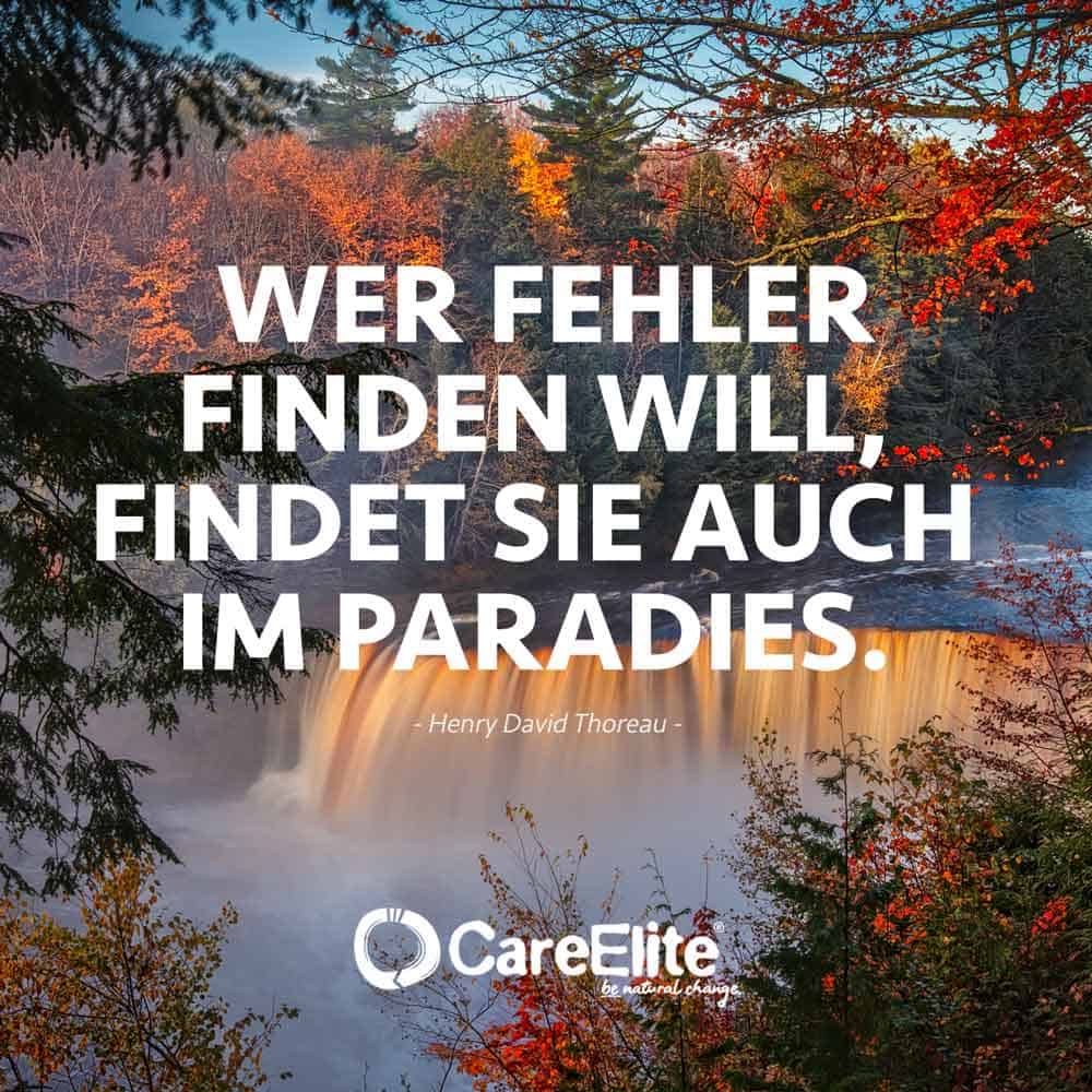 Wer Fehler finden will Zitat Thoreau