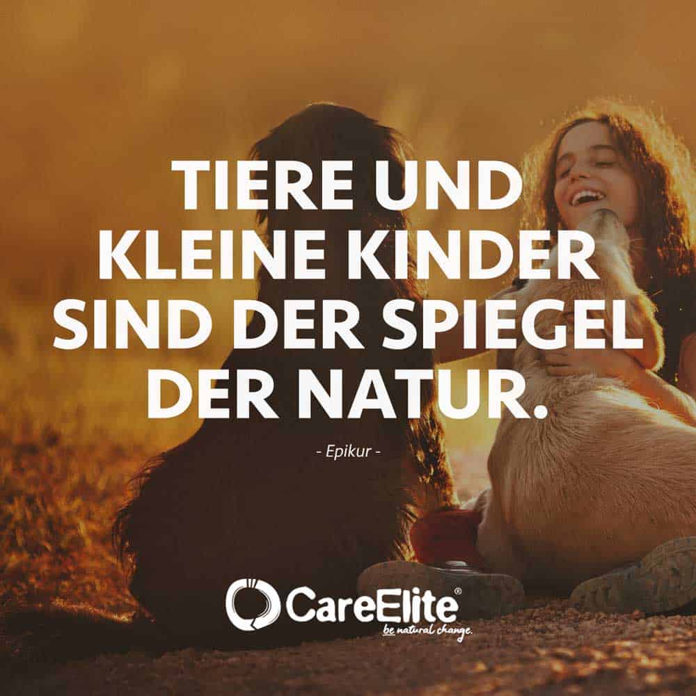 Tiere und Kinder Spiegel der Natur Zitat