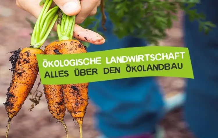 Organic farming - What is it?