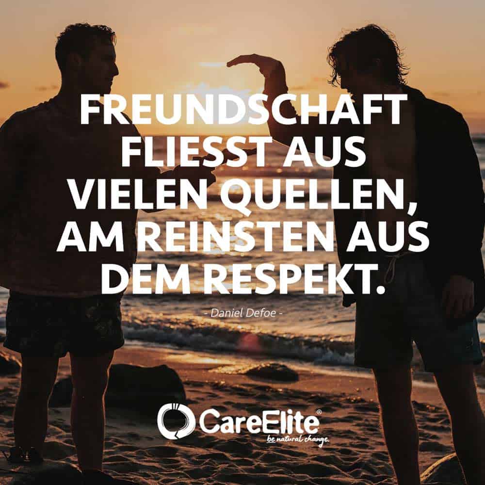 Freundschaft fliesst aus vielen Quellen Respekt Zitat