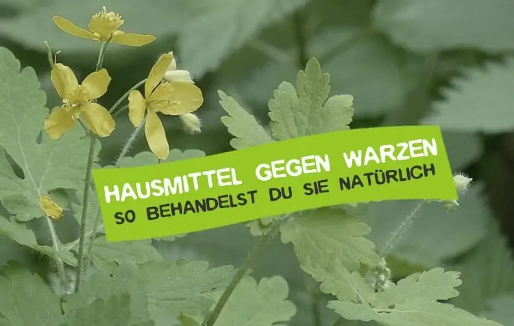 Warzen natürlich behandeln mit Hausmitteln