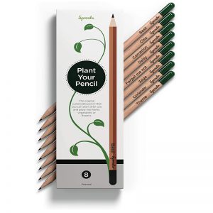 Pencils for planting buy by Sprout in Plastic Free Shop