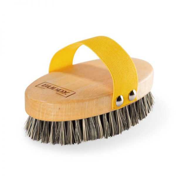Sustainable wood dog hair brush