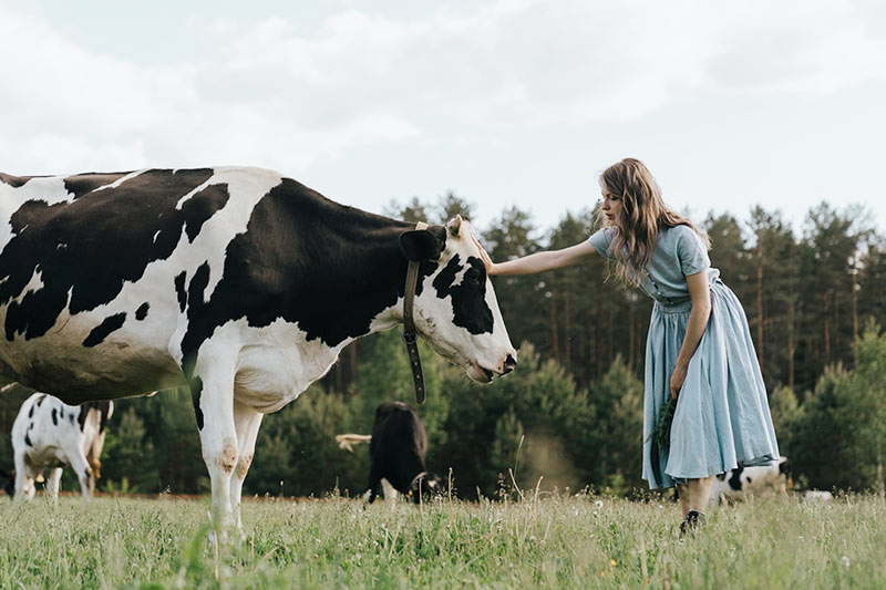 Woman in dress caresses cow