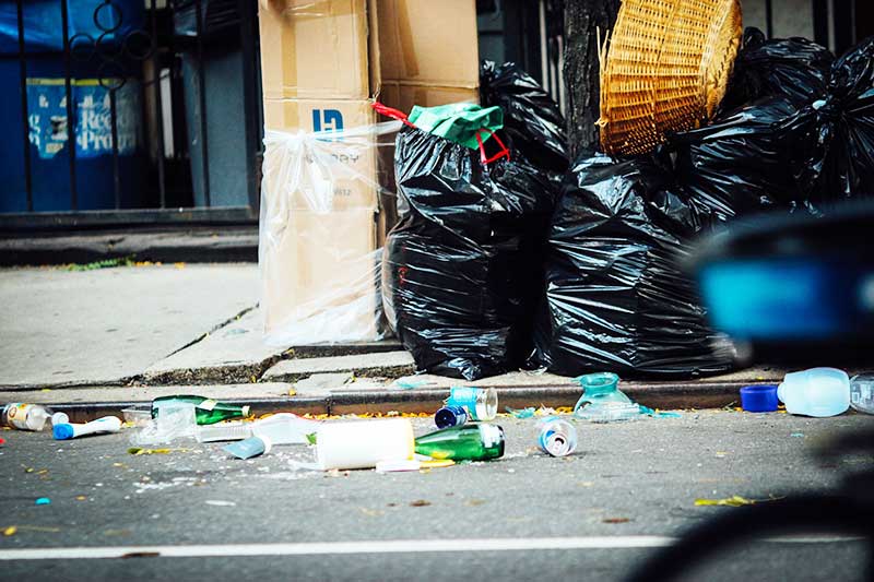 Littering hat Folgen für die Umwelt