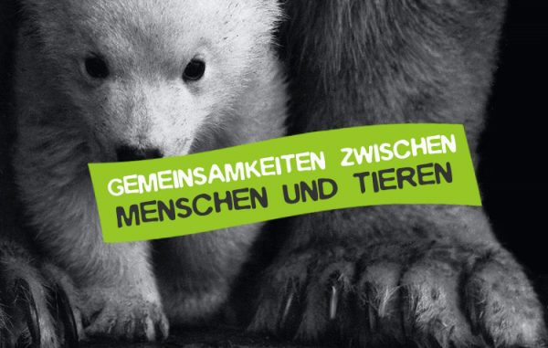10 eindrucksvolle Gemeinsamkeiten zwischen Mensch und Tier • CareElite
