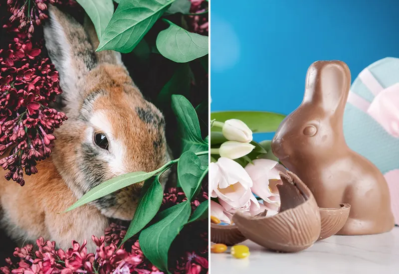 Spend environmentally friendly Easter