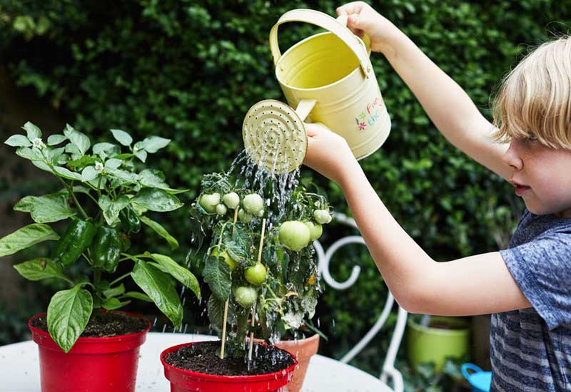 Child watering the flowers